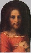 Andrea del Sarto Christ the Redeemer ff oil painting reproduction